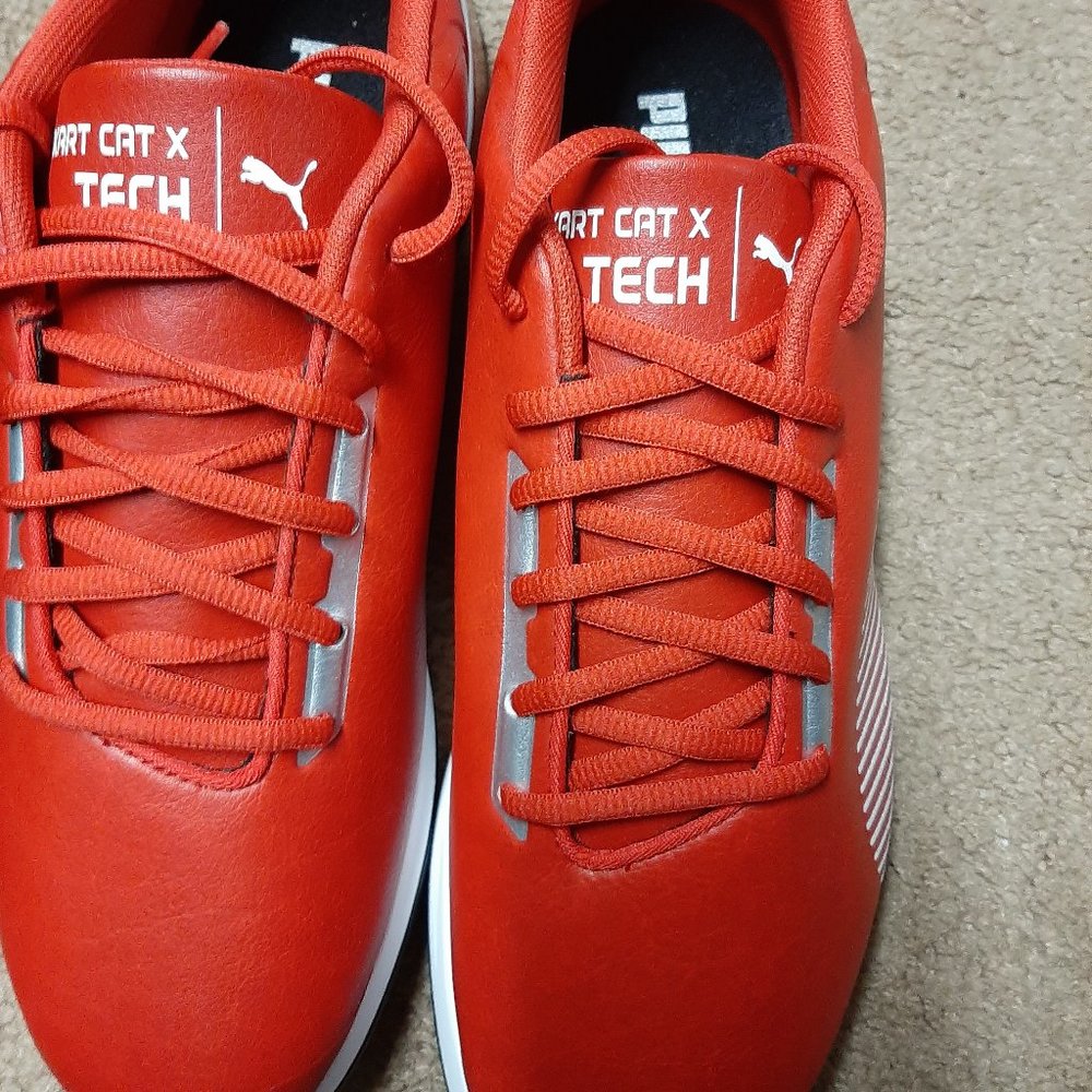 puma kart cat